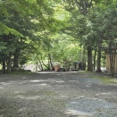 道志村で令和の桃太郎(笑)
