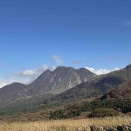 株式会社賃貸ハウス社長　第963回　「こんな所にもいるんか」