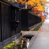 『引越していたママ友』の画像