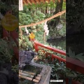 間々田八幡宮の風鈴
