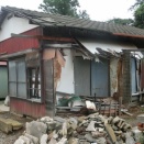 川口市桜町・安行慈林の探索