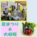 夏