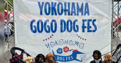 YOKOHAMA GOGO DOG FES