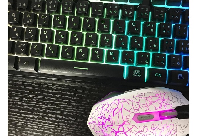 【悲報】ワイのPCのキーボードとマウス、死ぬほどダサい