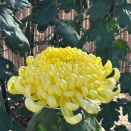 【言葉が変われば未来も変わる】 3091