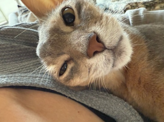 今朝のねっとり系抱っこマン