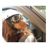 �زƴ��ٶȤΤ�����٤β���