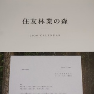 懸賞ちゃんねこ