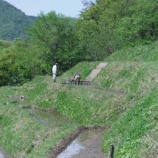 『千枚田田植え』の画像