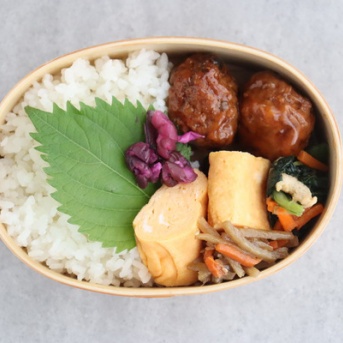 普通のお弁当とSF的な夢