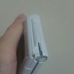 負け猫の遠吠え