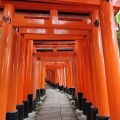 未だ死んでません。