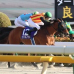 クロミちゃんの競馬日記