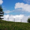 美ヶ原高原を歩いてきましたetc.