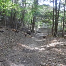 辰之介の日々 小太郎ヶ淵へ向けて～（家に来て4725日目）