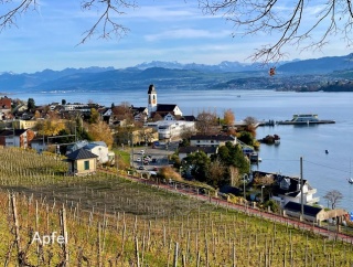 今週は晩秋、来週は雪🇨🇭