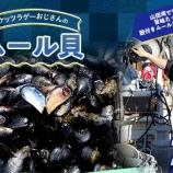 『ふるさと特産品情報　ムール貝と朝採りキュウリ』の画像