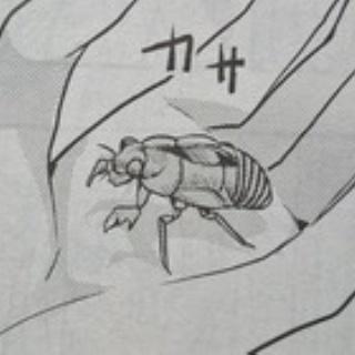 -となりの嶺は白く見える-