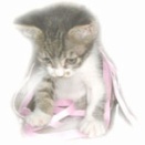 上手くいかないことばかり。