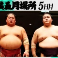 大栄翔の休場で揺れる大関への道！懸念される負のシナリオとは