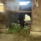 『お裾分け』の画像