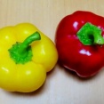 赤と黄