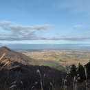 妻戸山〜弥彦山周回