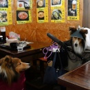 北海道へ函館②
