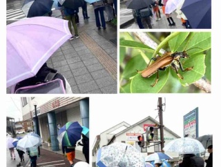 雨ばかりのGW