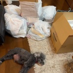 片づけの向こう側～奇跡の3日片づけ&夢をかなえる7割収納～