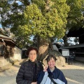 年末年始、年始編