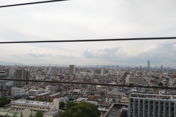 垣田裕介の研究室 別館 余暇のブログ