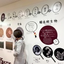 ７mタンクだろうが、小さなタンクだろうが醤油づくりは発酵の力で生まれるってことは変わらないのだ。