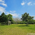知床と八重山の風景