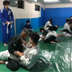 ブラジリアン柔術 修斗 総合格闘技道場 パラエストラ和泉blog