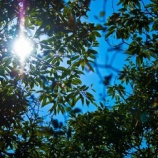 『間違った正義感』の画像