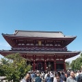 三社祭前の浅草散策