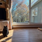 livedoor