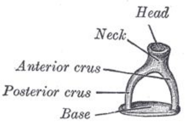 Dea Rimas デア リマス 16年07月