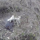動画のアップの練習
