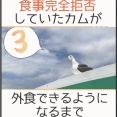 食事完全拒否していたカムが外食できるようになるまで＊3