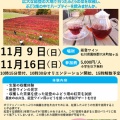 【11月9日・16日開催】ワイン用ぶどう葉の真っ赤に紅葉した生葉の収穫体験