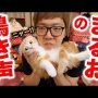 ヒカキンさん、二匹目の猫を飼ってしまうwwww まるおの兄弟かわいいいい