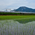 伊吹山