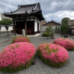 京都検定で京都を楽しむ！