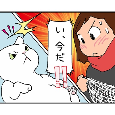 迷子猫探しの記録 シロチャンどこいった