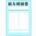 【画像】29歳ワイの月給ｗｗｗｗ