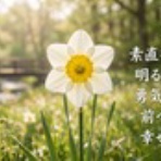 フウセンノ夢