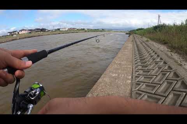 新潟中越エギング魂 ライデンのブログ 釣り動画