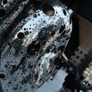 オルカ/明らかに故意に